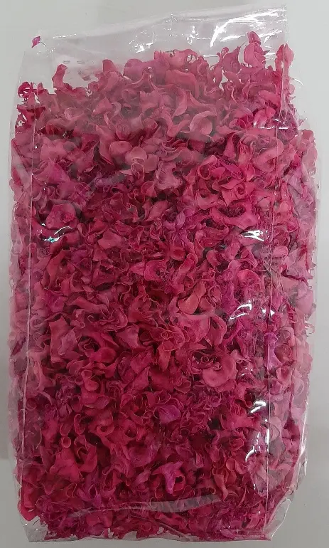 Curly pods fuchsia