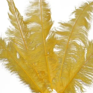 Ostrich feathers large yellow