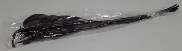 Estrelizia leaves aubergine