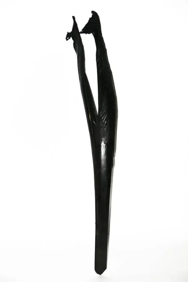 Palm sing black
