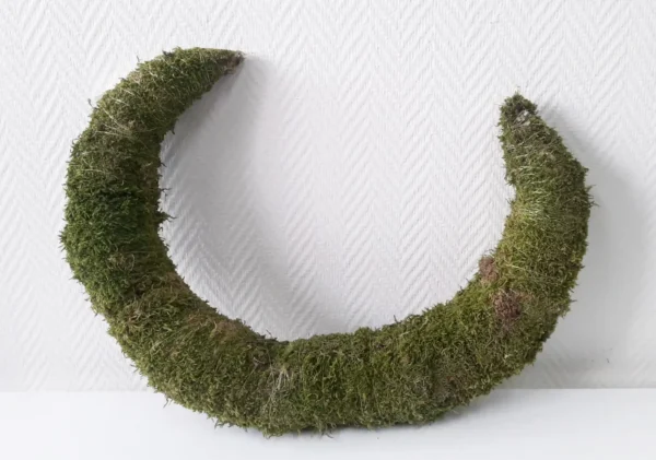 Half moon flat moss 28 cm natural