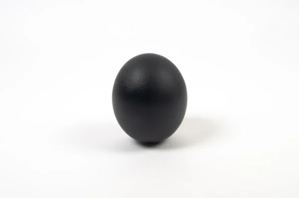 Ostrich egg matt black