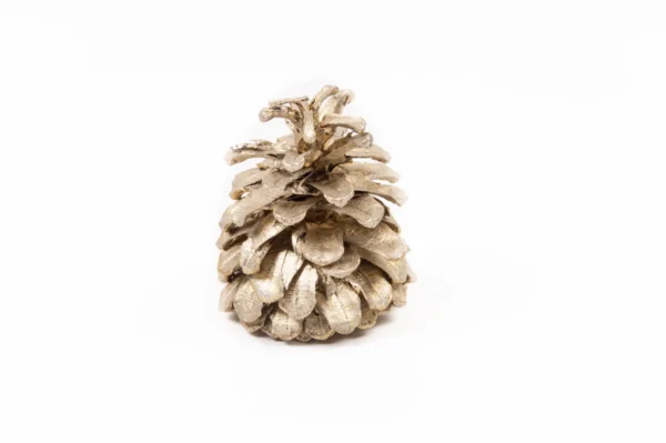 Austriaca cones in net platinum