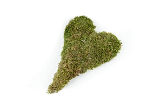 Heart flat moss 30x25 cm natural