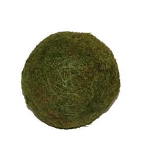 Ball flat moss 10 cm natural
