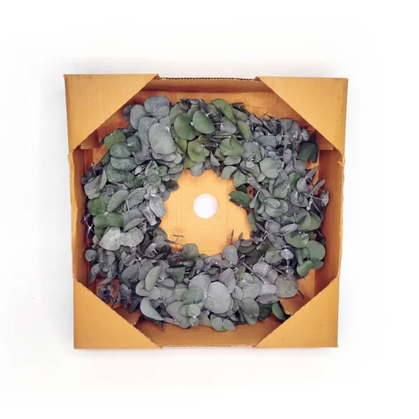 Wreath eucalyptus silverdollar preserved 45 cm green