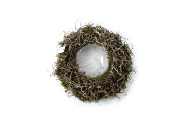 Bowl flat moss/bonsai wood round 28 cm natural