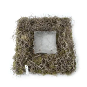 Bowl flat moss/bonsai wood square 38 cm natural