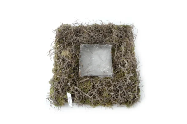 Bowl flat moss/bonsai wood square 38 cm natural