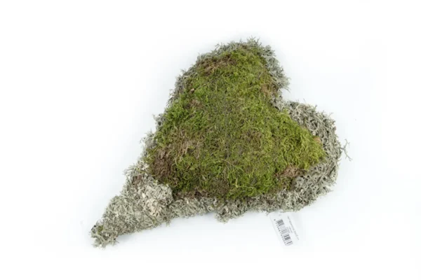 Heart flat moss/tree moss 35x25 cm natural