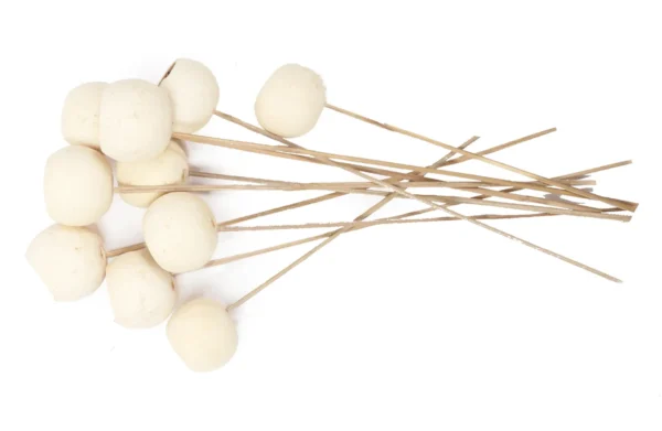 Bell cup o/st. bleached