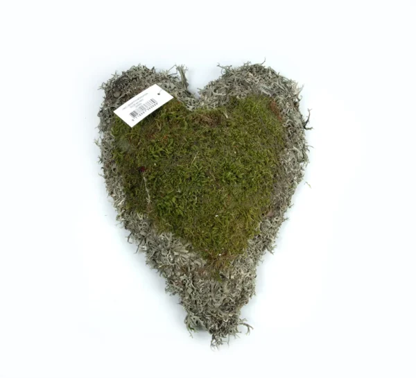 Heart flat moss/tree moss 30x25 cm natural