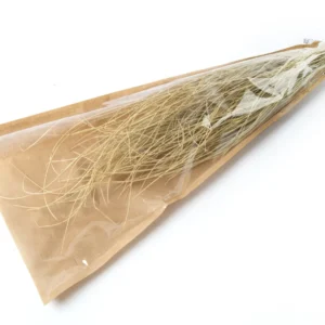 Curly grass bleached