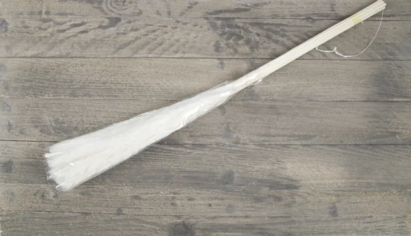 Cortaderia 80 cm bleached