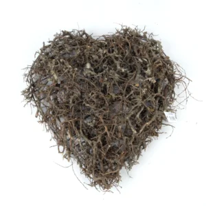 Heart bonsai wood 38 cm natural