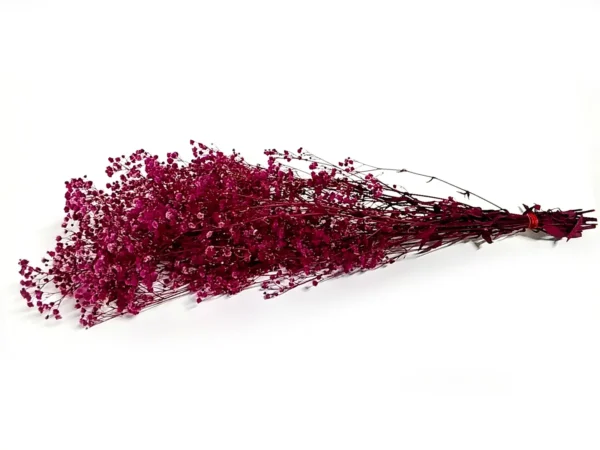 Gypsophila preserved fuchsia
