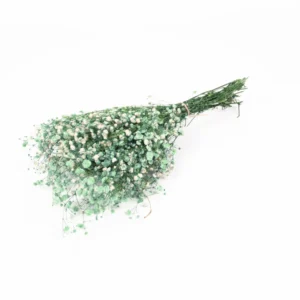 Gypsophila preserved mint green