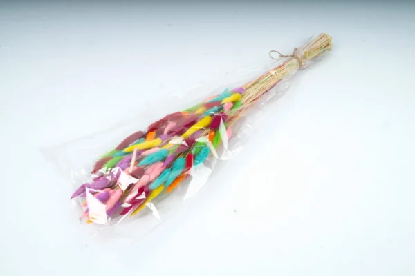 Lagurus color mix hot