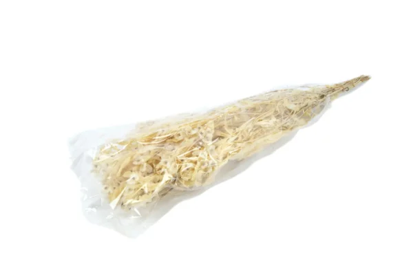 Dodonea preserved bleached