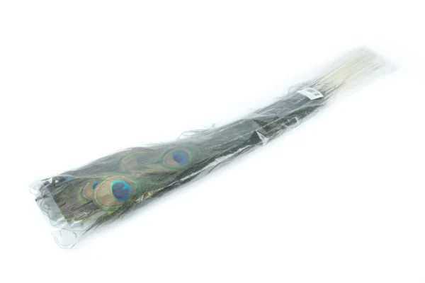 Peacock feathers 40"-45" natural