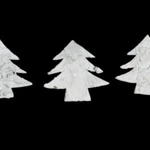 Christmas trees big bark birch misty white