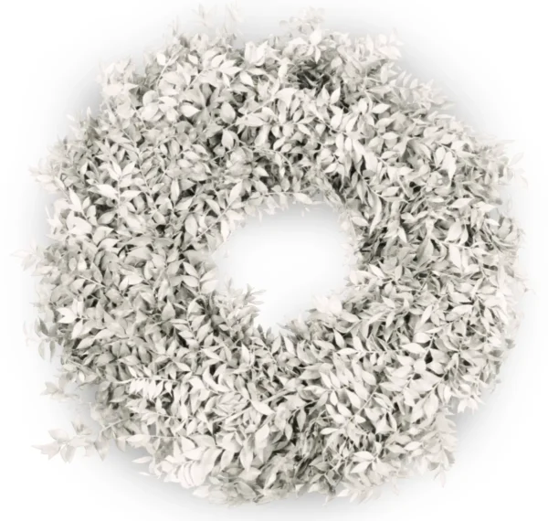 Wreath ruscus 35 cm misty white
