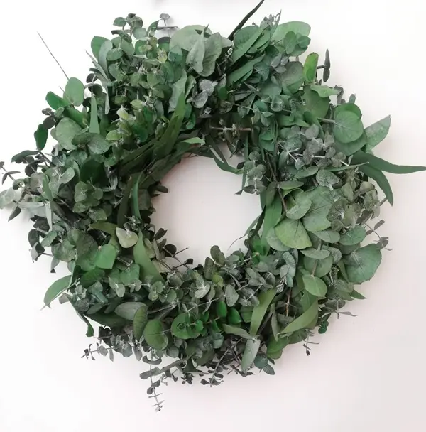 Wreath eucalyptus preserved mixed 45 cm green