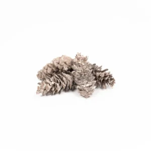 Douglas stone washed white
