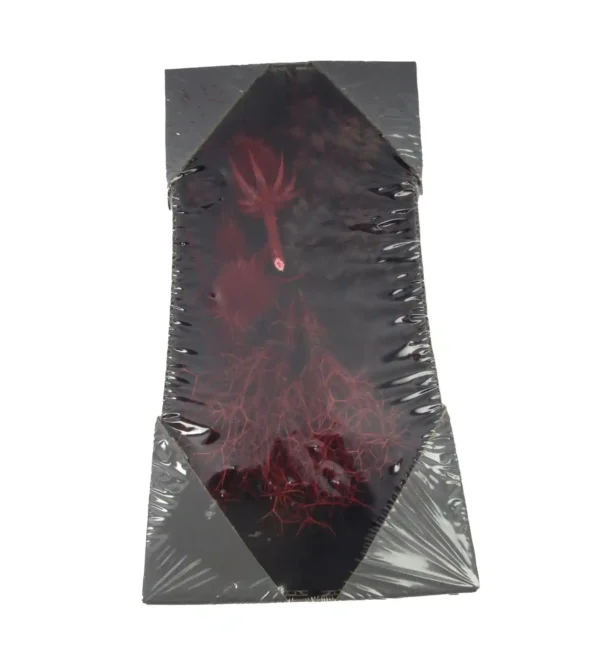 Mix carton acorn/iron bush/ruscus/thistle red