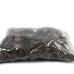 Austriaca cones natural