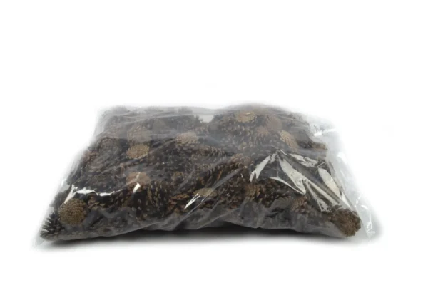 Austriaca cones natural