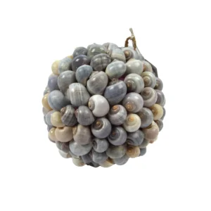 Bol schelpen nathai 25 cm naturel. vrijstaand gemaakt