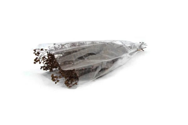 Gypsophila preserved copper