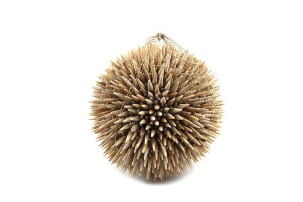 Ball sea shells terebra turitella 50 cm natural