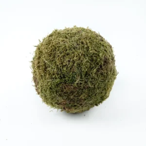 Ball flat moss 20 cm natural