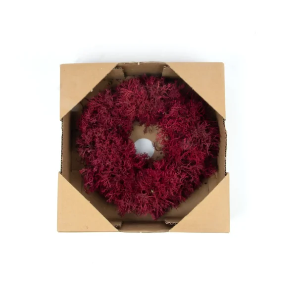 Wreath hedgehog moss preserved 25 cm red