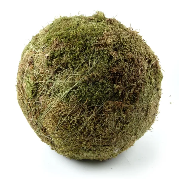 Ball from flat moss, 40cm, natural
