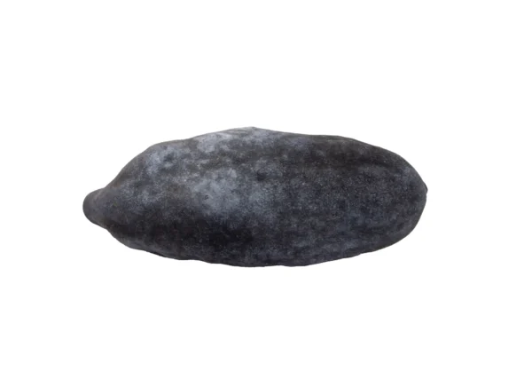 Dried baobab medium black/white, exotic fruit