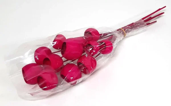 Fuchsia colored bell cups on stem