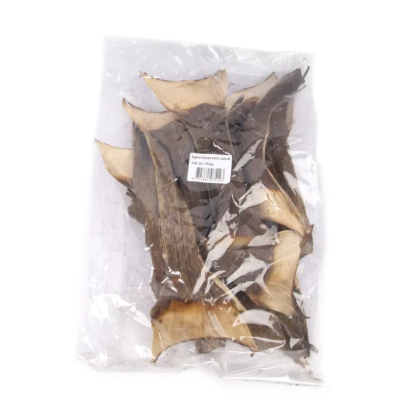 Agave leaves extra natural