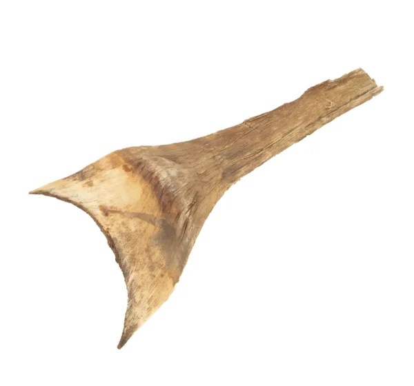 Agave leaves extra natural - Afbeelding 2