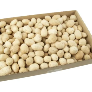 Amra pods bleached