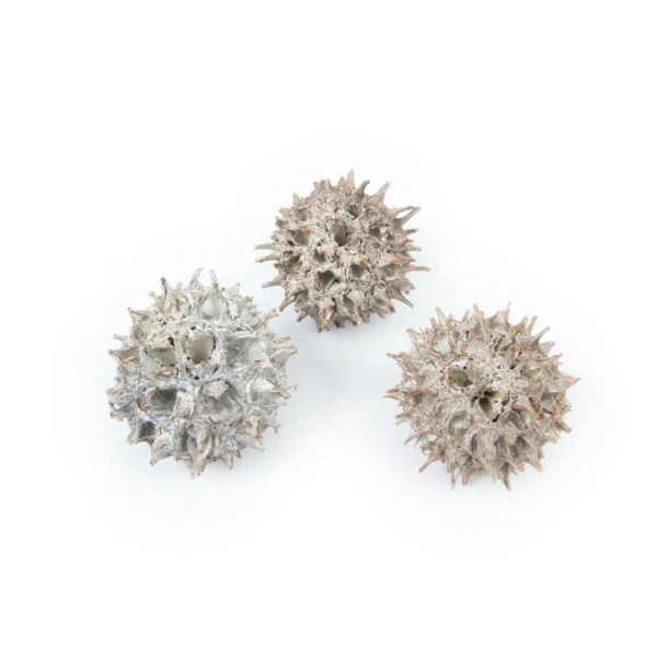 Amberbaum stone washed white