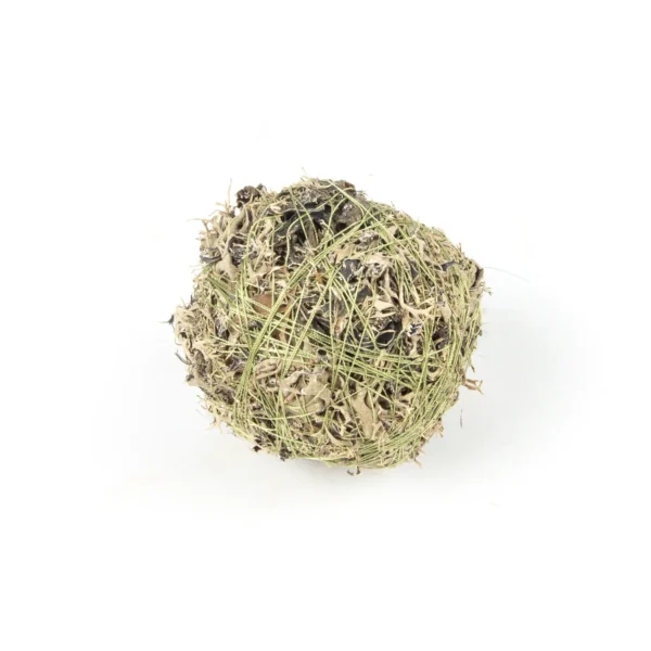 Balls tree moss 10 cm natural