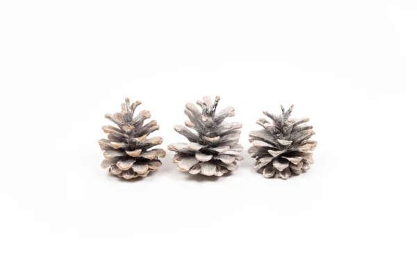 Austriaca cones stone washed white