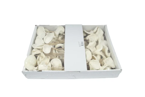 Badam o/st. bleached