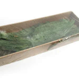 Agave transparent pine green