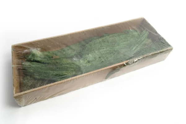 Agave transparent pine green