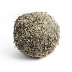 Ball tree moss 30 cm natural