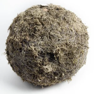 Ball tree moss 40 cm natural
